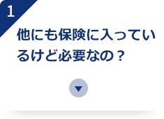 他にも保険に入っているけど必要なの？
